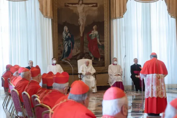 Who Will Vote for a New Pope after Francis? A Look at the Cardinals by the Numbers